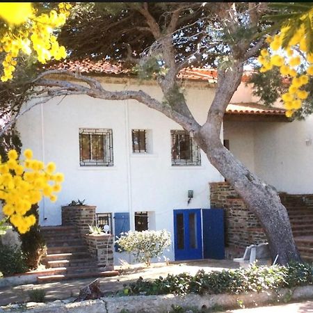 Villa Bleue - Les Pins Port Vendres Εξωτερικό φωτογραφία
