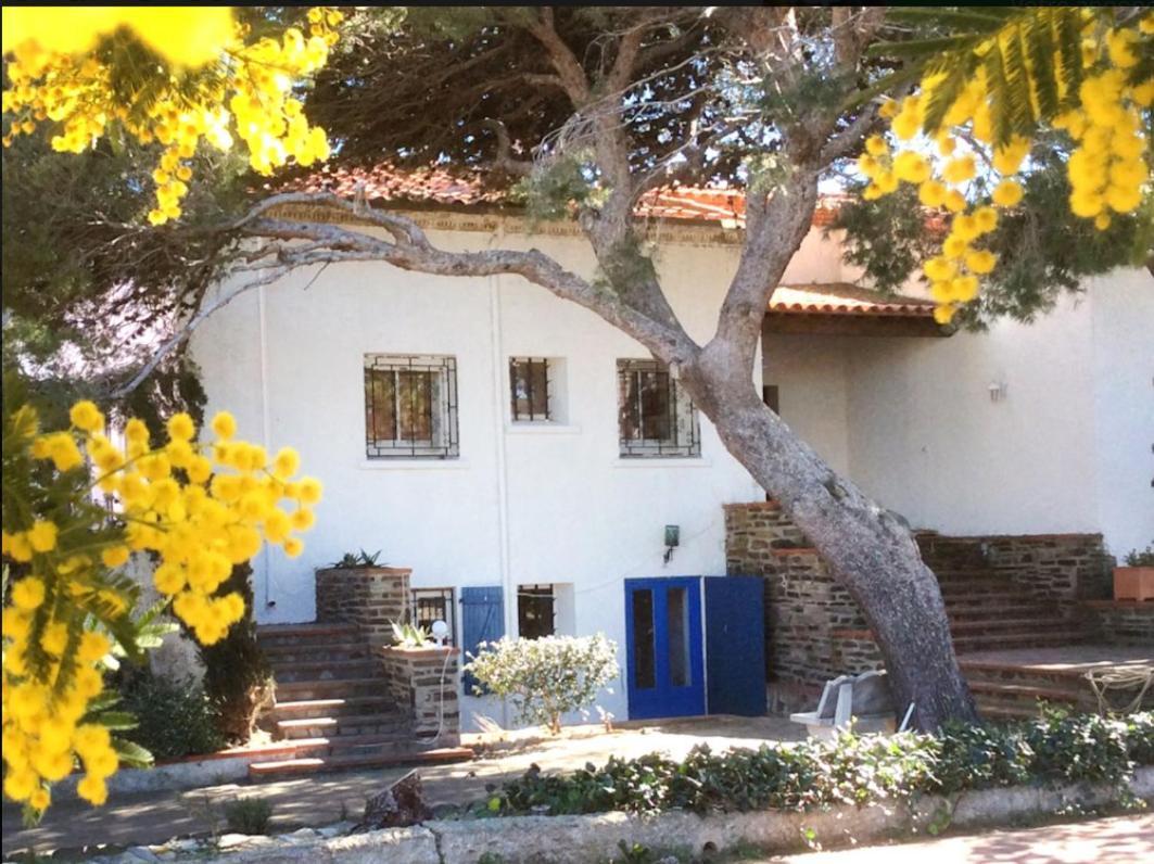 Villa Bleue - Les Pins Port Vendres Εξωτερικό φωτογραφία