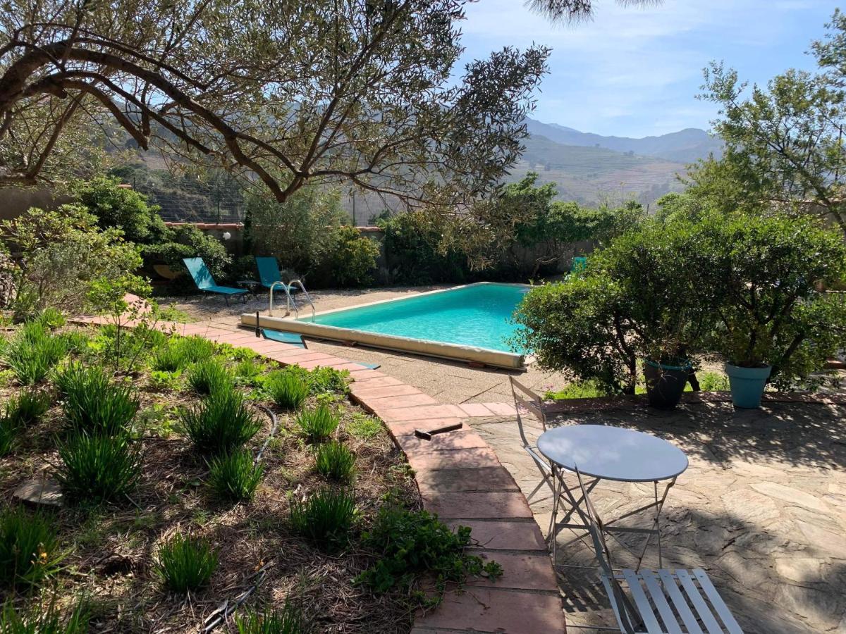 Villa Bleue - Les Pins Port Vendres Εξωτερικό φωτογραφία